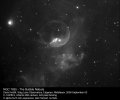 Ngc7635, Bubble Nebula (14" SCT)